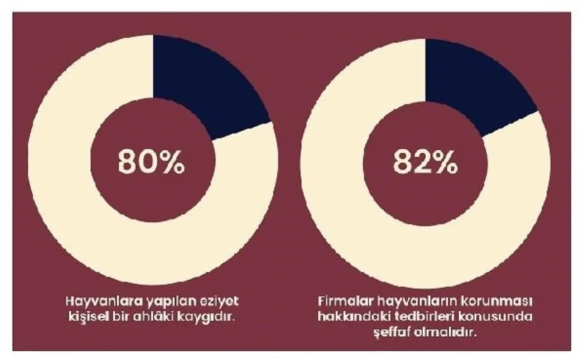 Türkiye\'de Kafessiz Yumurta Taahhüdü Veren Firmaların Sayısı Artıyor