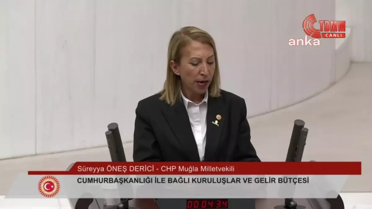 CHP Milletvekili Süreyya Öneş Derici\'den güvenlik kurumlarına paralel yapılanmalara tepki