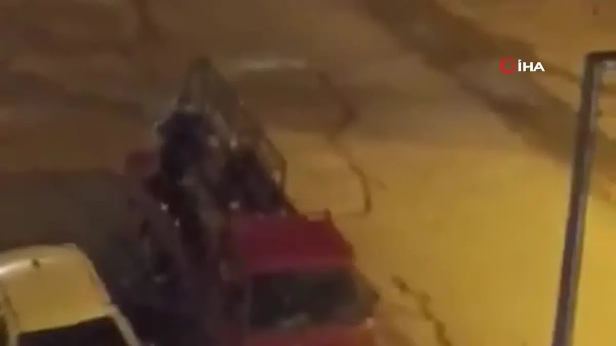 Kırıkkale\'de Sokak Köpeklerinin Saldırısından Kurtulan Çocuk