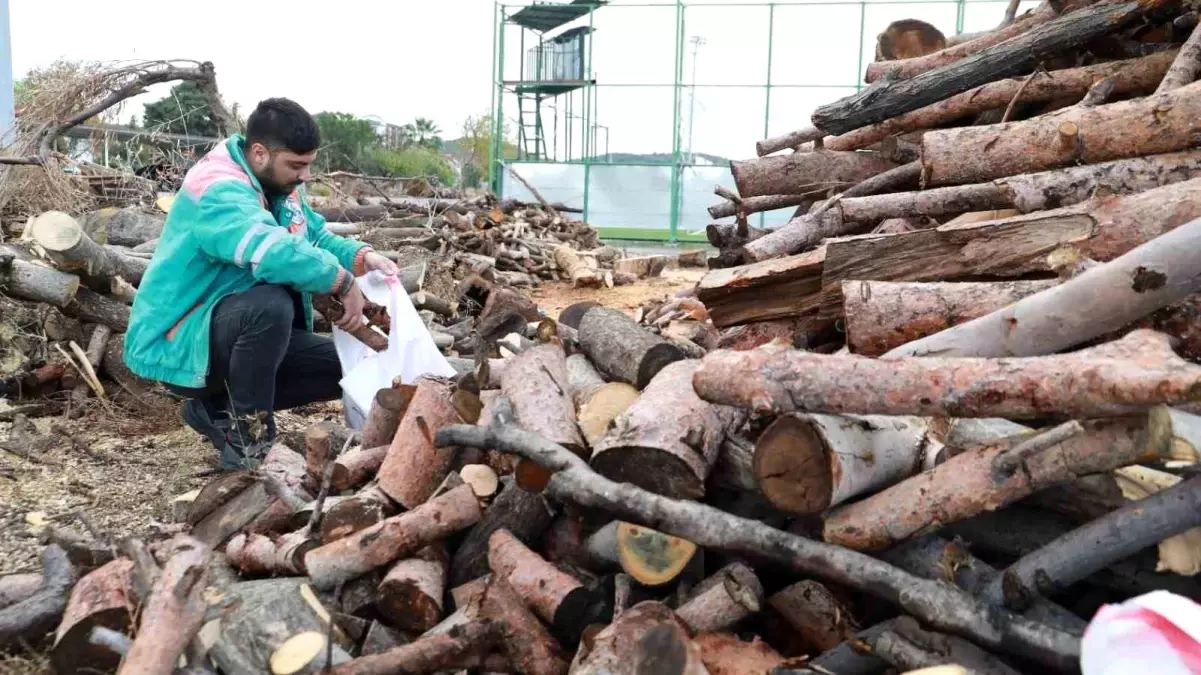 Burhaniye Belediyesi İhtiyaç Sahiplerine Yakacak Yardımı Yapıyor