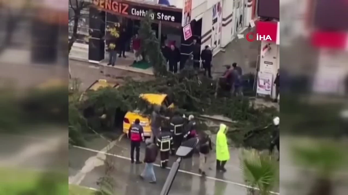 Rize\'de fırtına nedeniyle devrilen ağaç taksilere zarar verdi