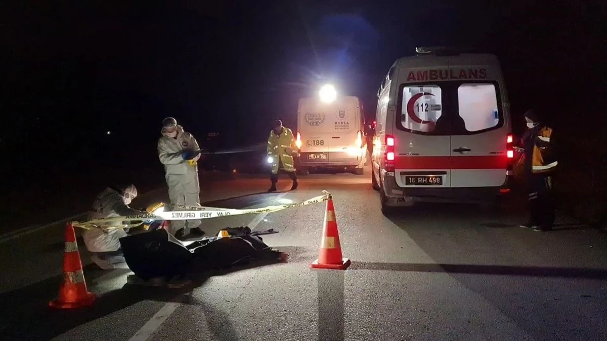 İznik\'te otomobil çarpması sonucu bir kişi hayatını kaybetti