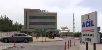 Diyarbakır'da kavgayı ayırmak isterken kurşunla yaralandılar