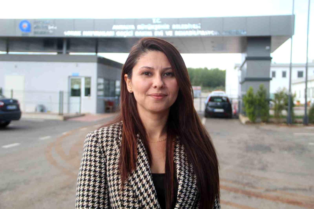 Antalya\'da Sokak Hayvanları Mikroçip ile Kayıt Altına Alınıyor