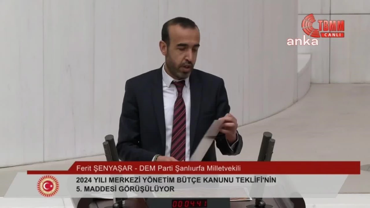 DEM Parti Milletvekili Ferit Şenyaşar: 22 yıllık iktidarınız süresince tartışmasız en başarılı olduğunuz dersler yolsuzluk, yoksulluk ve yasaklar oldu