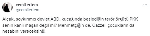 ABD'nin taziye mesajına Cumhurbaşkanı Başdanışmanı Cemil Ertem'den sert tepki: Alçak, terör örgütü PKK senin kanlı maşan değil mi?