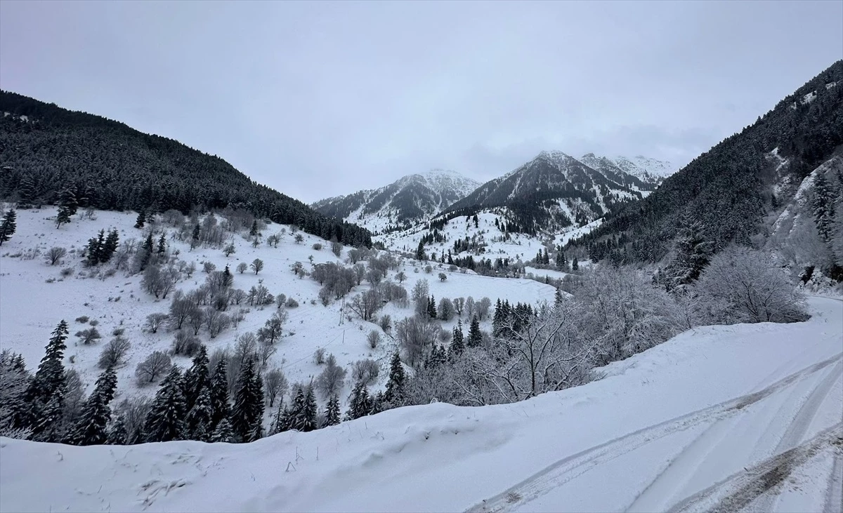 Artvin ve Gümüşhane\'de kar yağışı, ulaşımda sıkıntılara yol açıyor