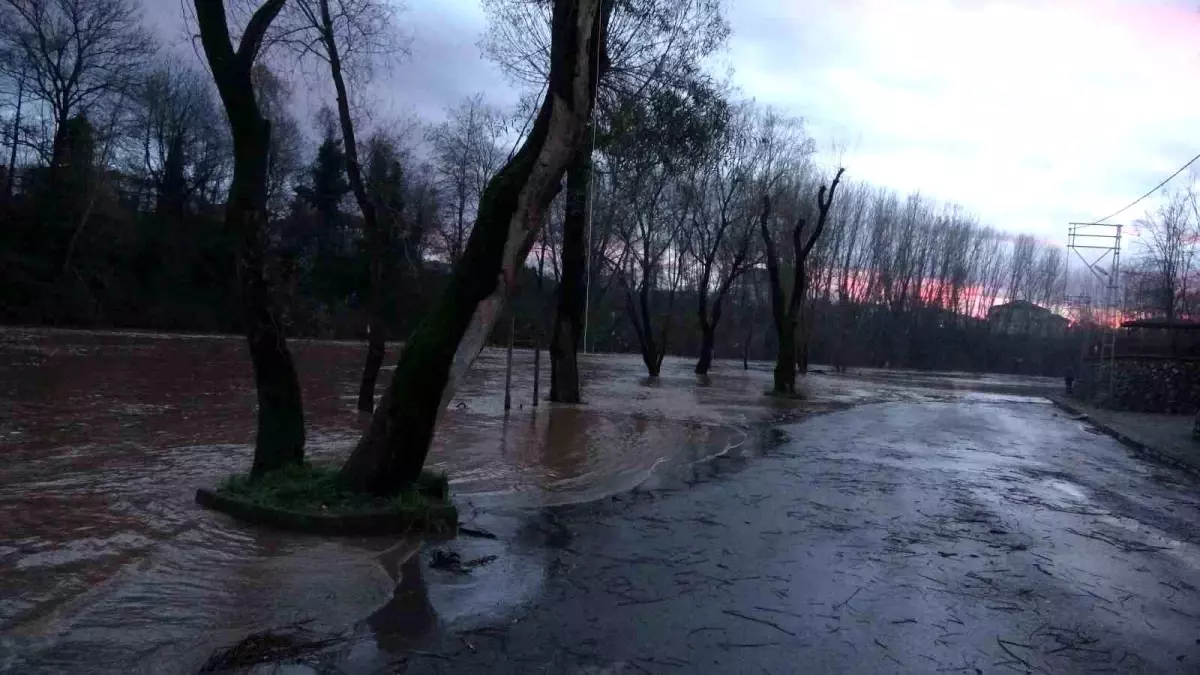 Bartın Irmağı Taştı, Vatandaş Balık Avladı