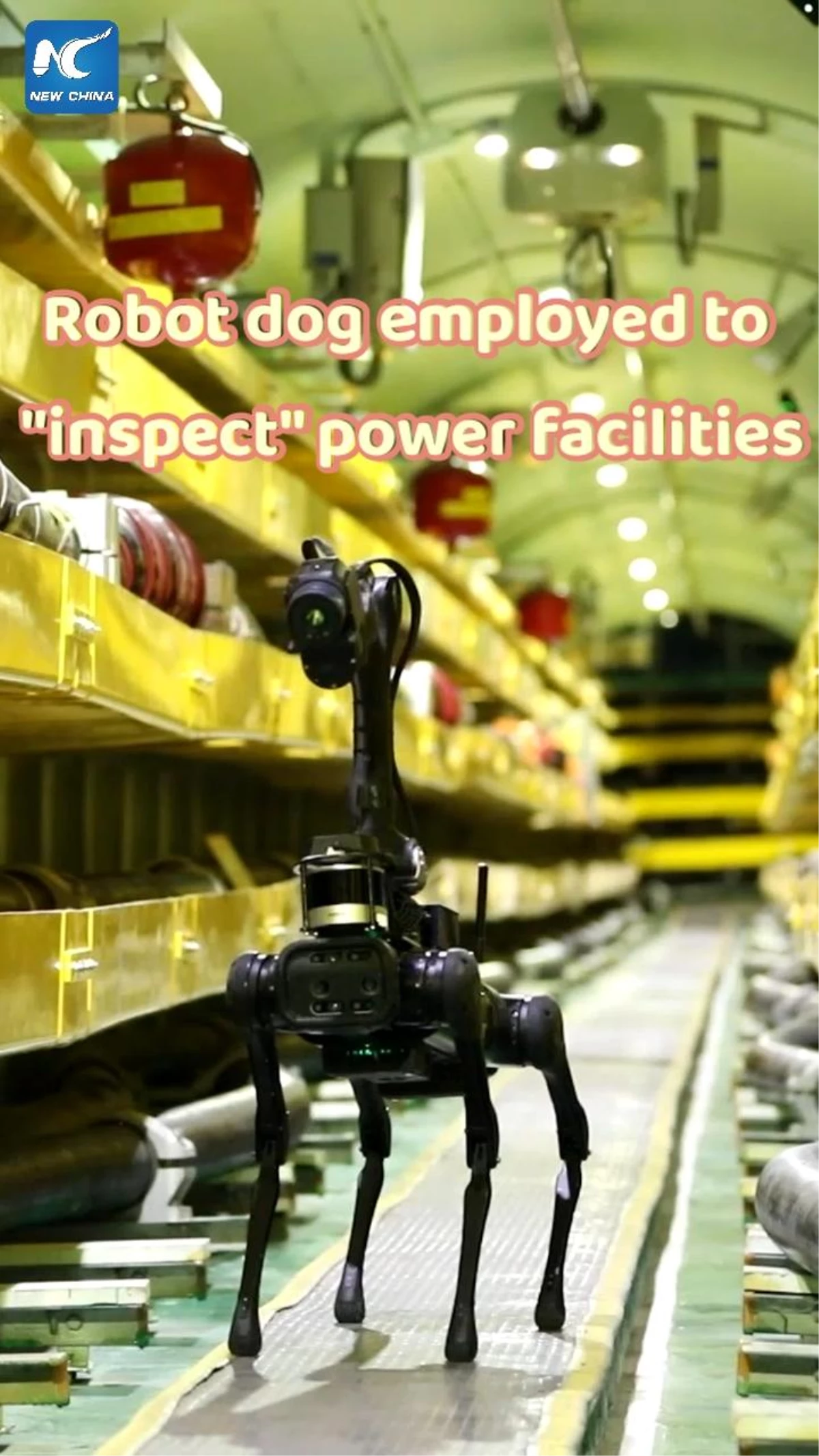 Beijing\'deki enerji tesislerinde robot köpekler görev aldı