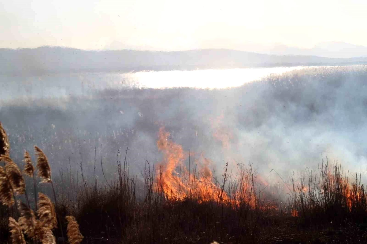 Beyşehir Gölü\'nde çıkan yangın balıkçıları korkuttu