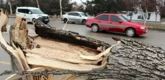 Erzurum'da Fırtına: Çatılar Uçtu, Araçlarda Hasar Oluştu