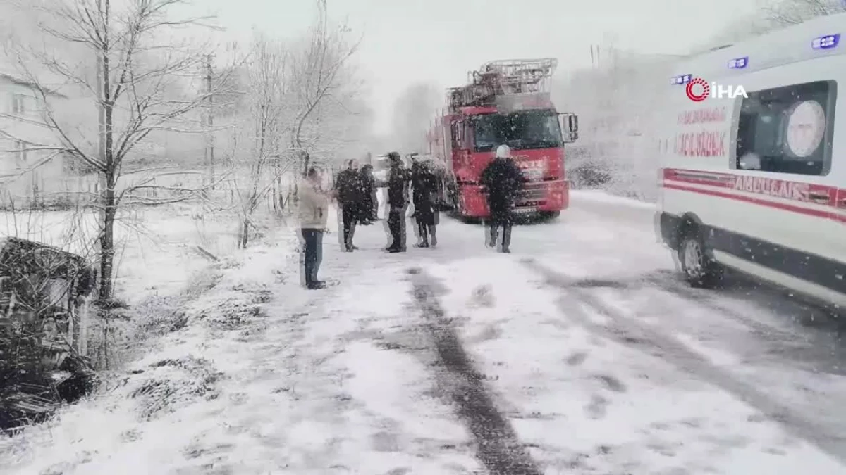 Ünye\'de kar yağışı nedeniyle kamyonet kaza yaptı, sürücü ve eşi yaralandı