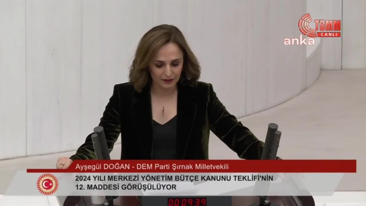 TBMM\'de Bütçe Görüşmeleri... Ayşegül Doğan: "Türkiye\'nin Temel Sorunlarını Diyalog ve Müzakere Yoluyla Çözmeliyiz"