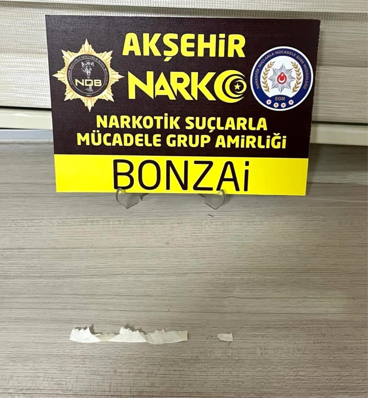 Akşehir\'de Sentetik Bonzai Operasyonu