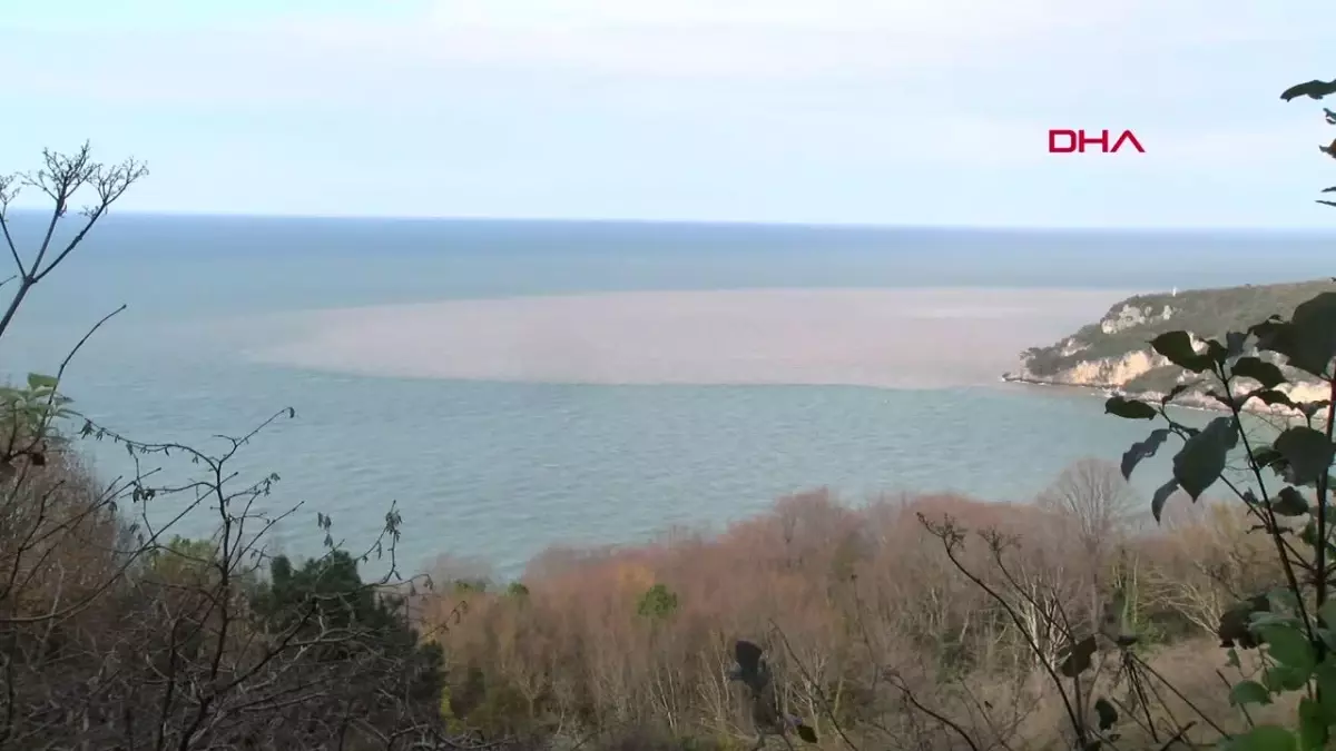 Bartın Irmağı'nın çamurlu suyu denizin rengini değiştirdi