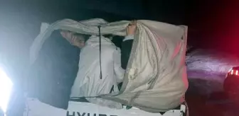 Ayvacık'ta 31 kaçak göçmen yakalandı