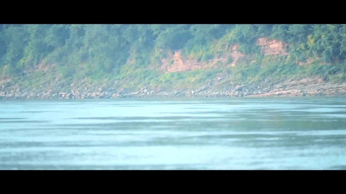 Yangtze Nehri\'ndeki Sırt Yüzgeçsiz Yunusları Koruma Çabaları