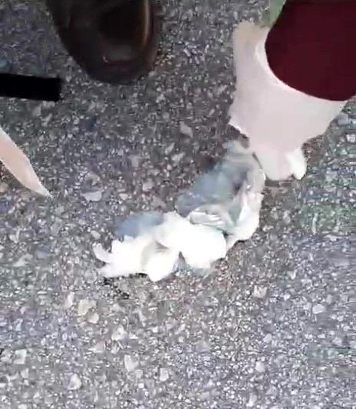 Düzce\'de araçta uyuşturucu ve ruhsatsız tabanca ele geçirildi