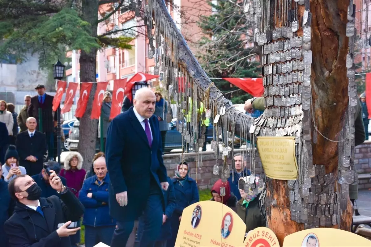 Şehitlerin anısı "Şehit Ağacı"nda yaşatılacak