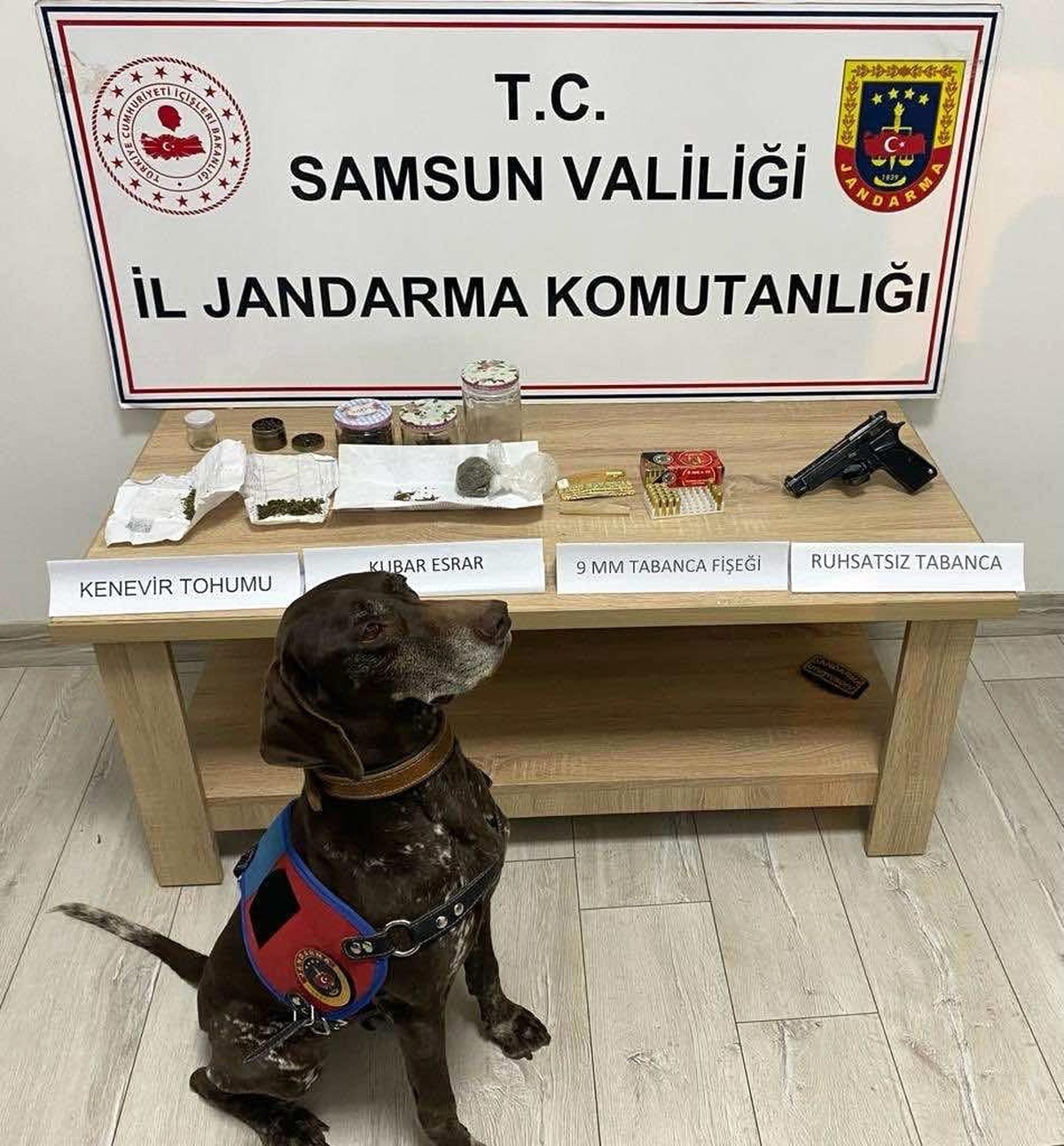 Samsun\'da uyuşturucu operasyonu