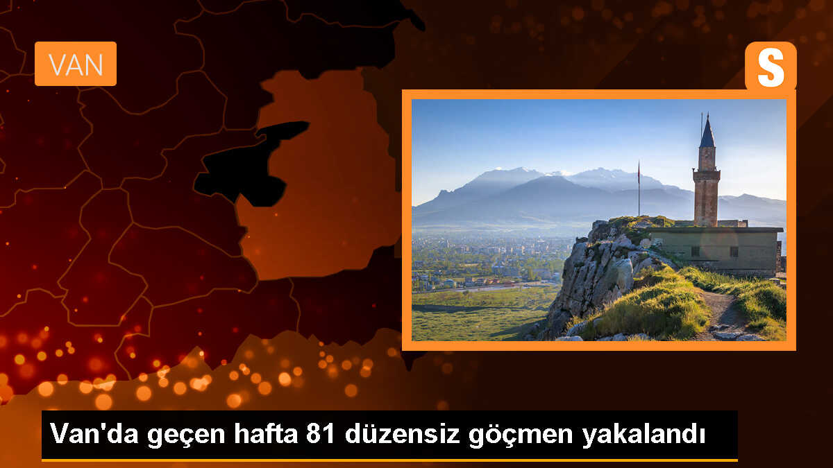 Van\'da 81 düzensiz göçmen yakalandı, 4 şüpheli hakkında işlem yapıldı