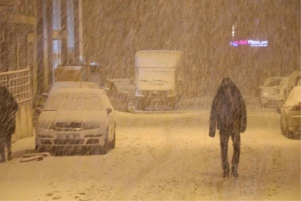 Van ve Bitlis\'te Kar Yağışı Nedeniyle Okullara Ara Verildi