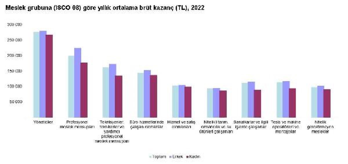 Aylık ortalama kişi başı kazanç 12 bin 450 TL oldu