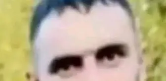 Bingöl'de Yaya Kaza Sonucu Bir Kişi Hayatını Kaybetti