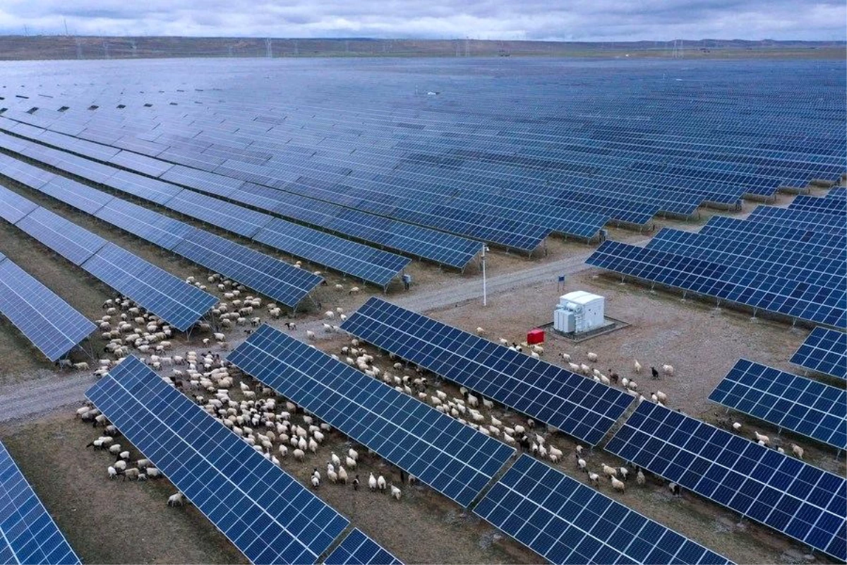 Çin\'de 900 MW\'lık fotovoltaik proje faaliyete geçti