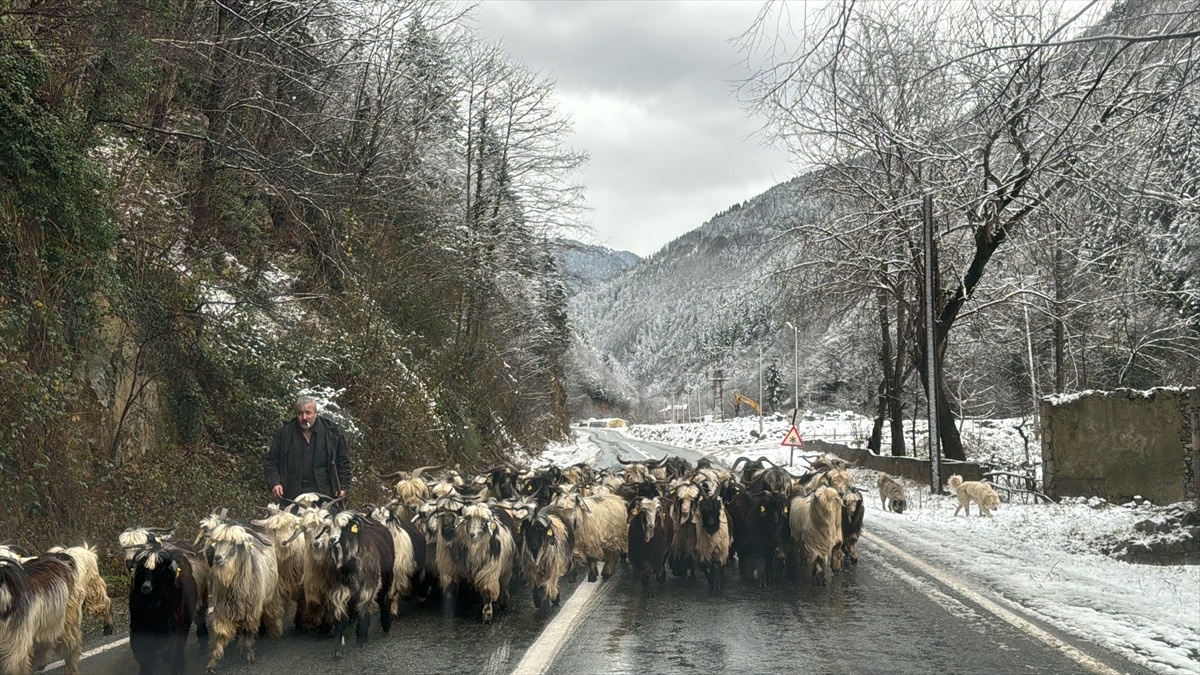Doğu Karadeniz\'de 395 köy yolunun 287\'si ulaşıma açıldı