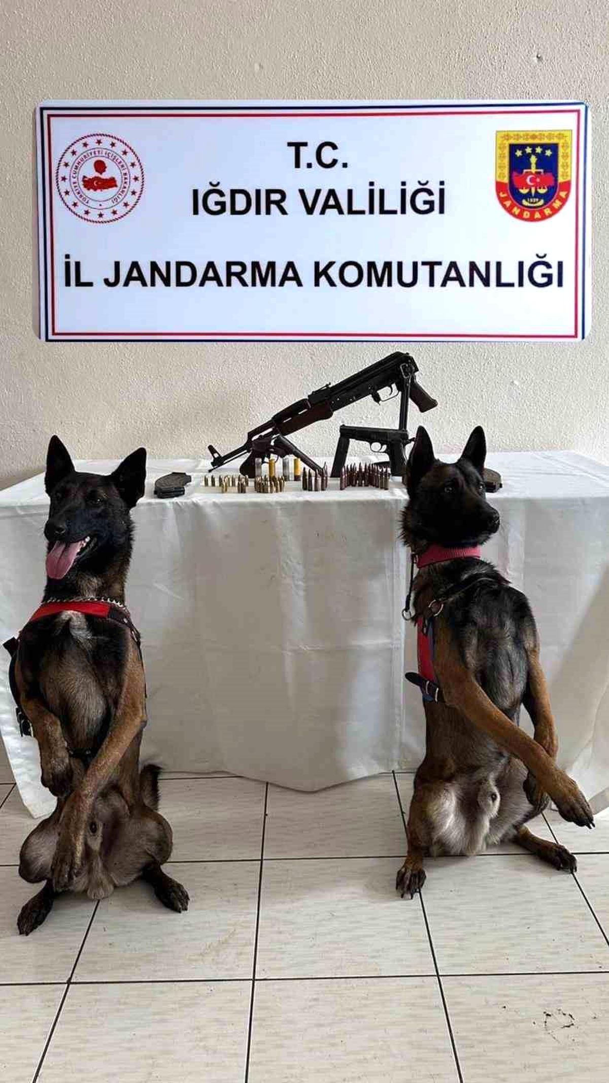 Iğdır\'da Kaçakçılık Operasyonu: 1 Tutuklama