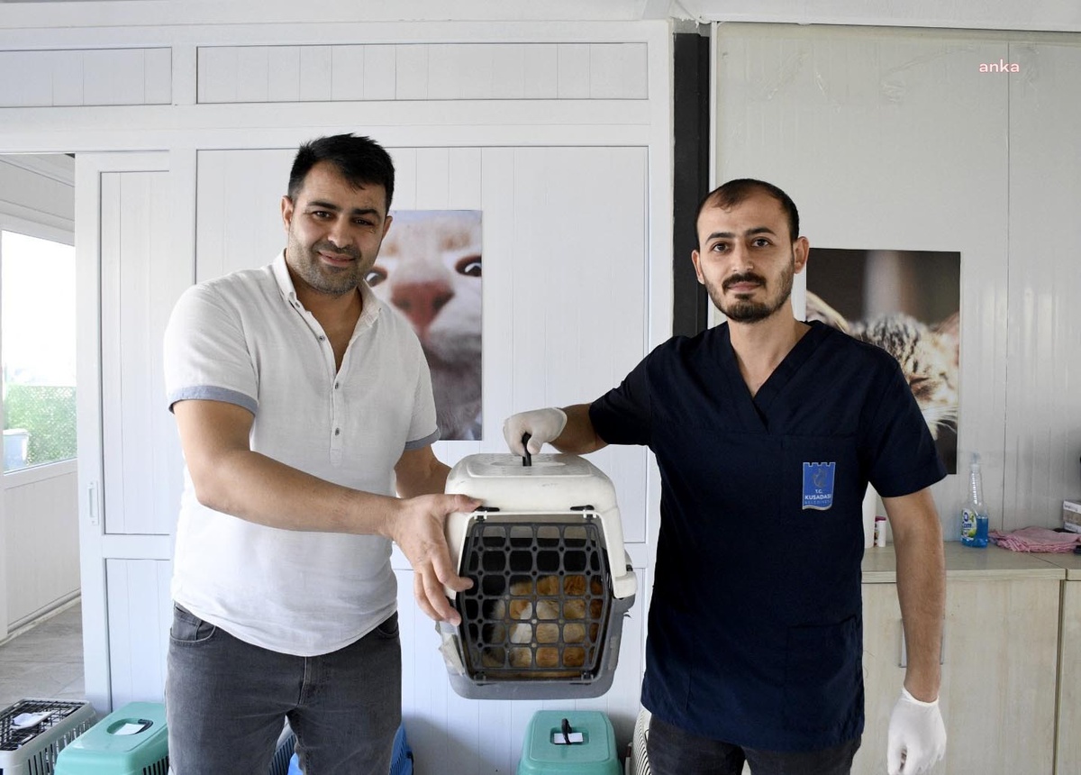 Kuşadası Belediyesi\'nden Ücretsiz Kısırlaştırma Hizmeti