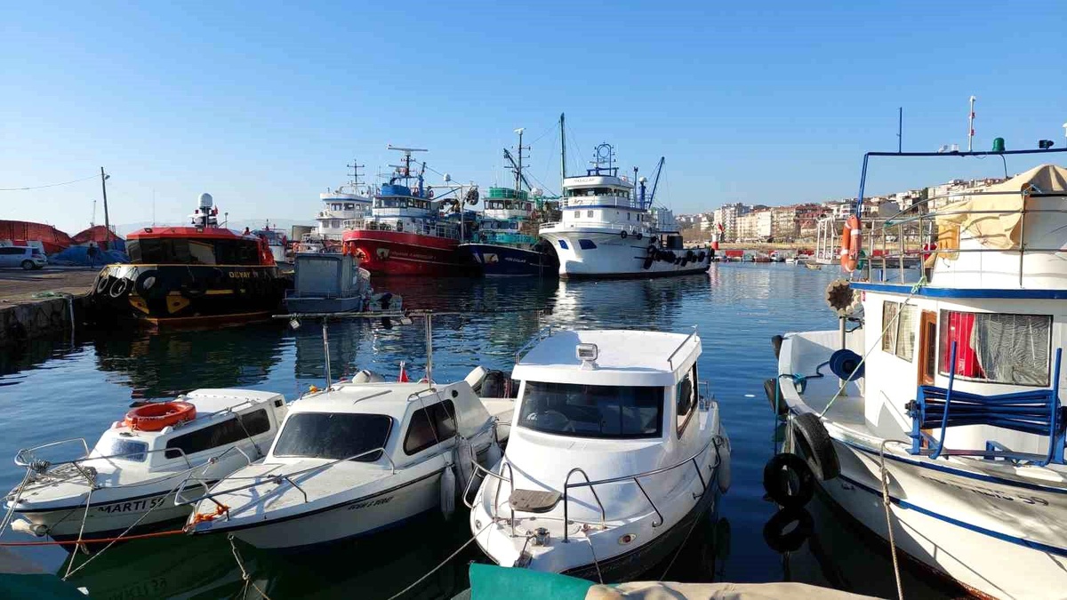 Marmara Denizi\'nde 30 Ton Torik Balığı Yakalandı