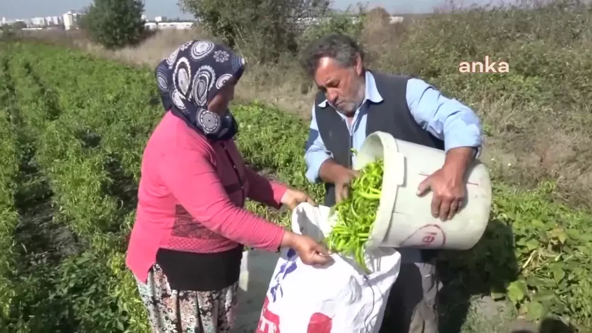 Nilüfer Belediyesi, Kentin Tamamında Toprak Analizleri ve Haritalandırma Yaptı