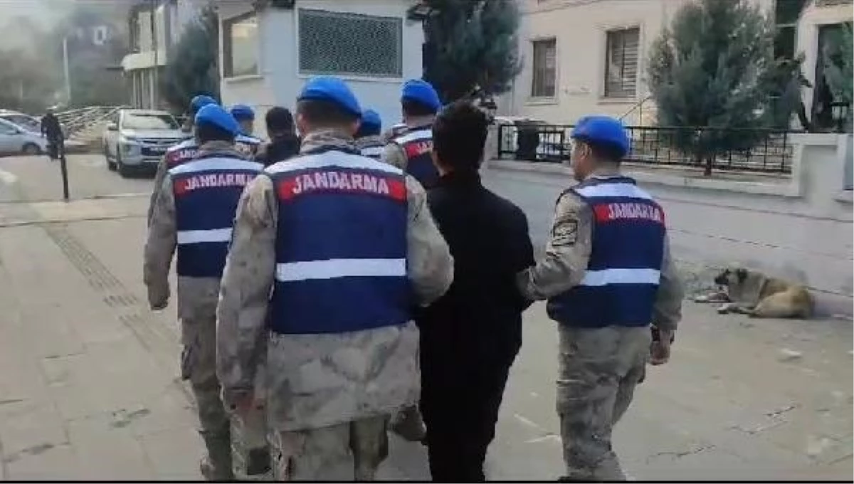 Siirt\'te düzensiz göçmen operasyonu: 11 göçmen yakalandı, 5 kişi tutuklandı
