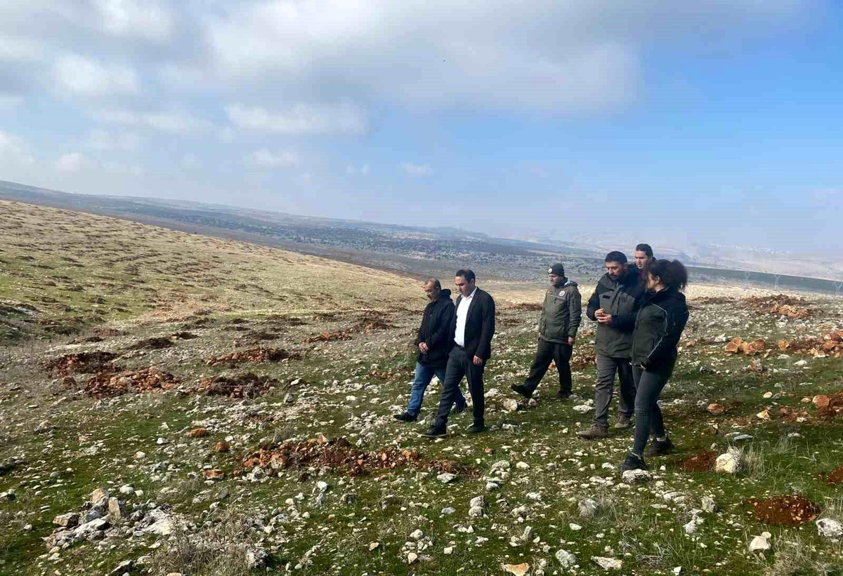 Adıyaman\'ın Besni ilçesinde 13 bin 500 fidan dikildi