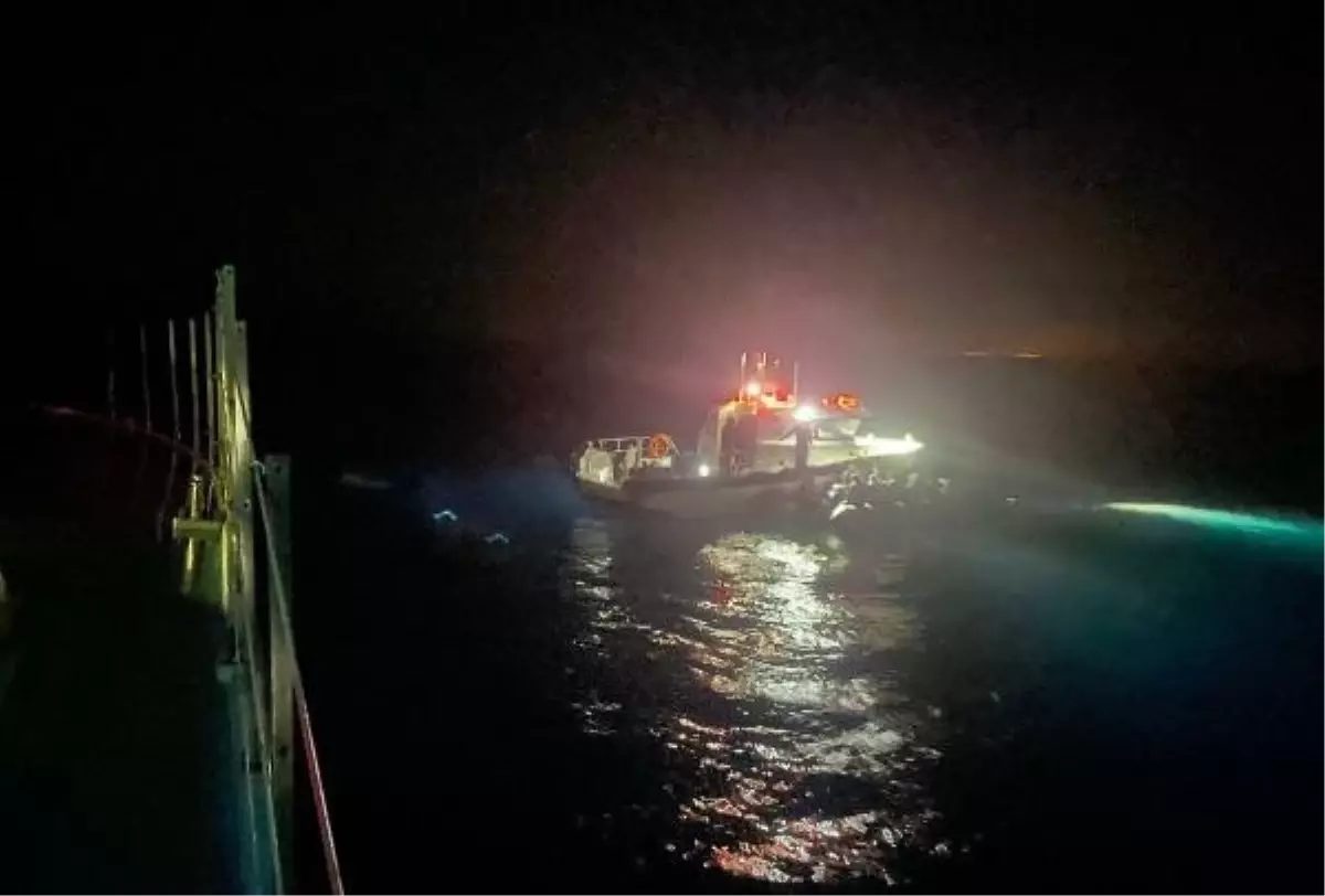 Bodrum'da 31 kaçak göçmen yakalandı, 44 kaçak göçmen kurtarıldı