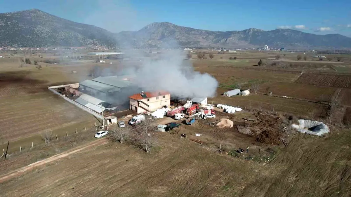 Burdur\'da çiftlik yangınında 15 ton saman balyası kullanılamaz hale geldi