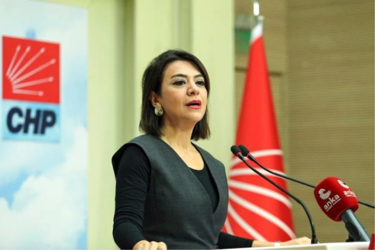 CHP Genel Başkan Yardımcısı Gamze Taşçıer: Erdoğan\'ın ücret açıklaması Asgari Ücret Tespit Komisyonu\'nun fiilen lağvedilmesinin ikrarı olacaktır