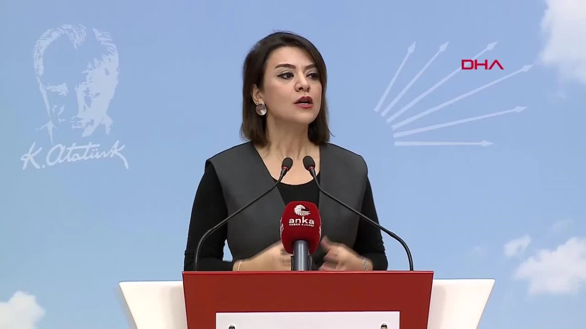 CHP Genel Başkan Yardımcısı Gamze Taşçıer: Erdoğan\'ın ücret açıklaması, Asgari Ücret Tespit Komisyonu\'nun fiilen lağvedilmesinin ikrarı olacaktır