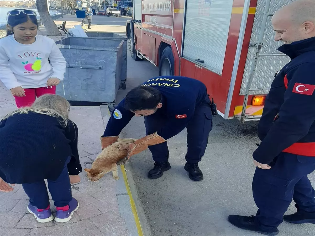 Çınarcık Belediyesi İtfaiye Müdürlüğü, mahsur kalan kediye yardım etti