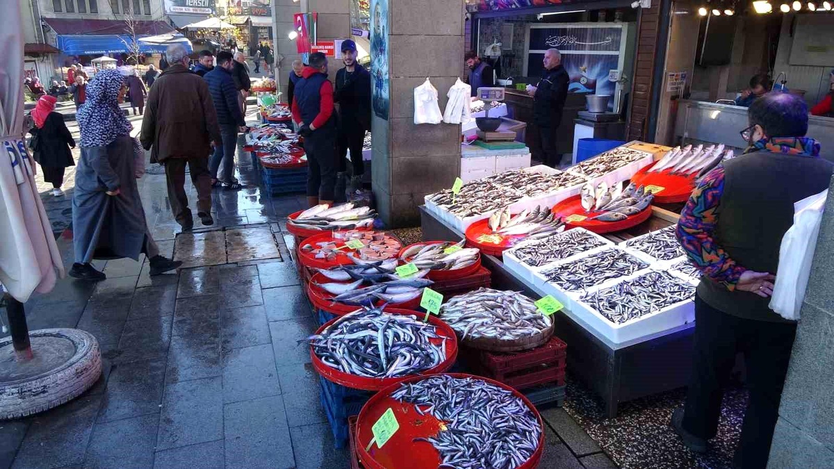 Hamsi fiyatları yükseliyor