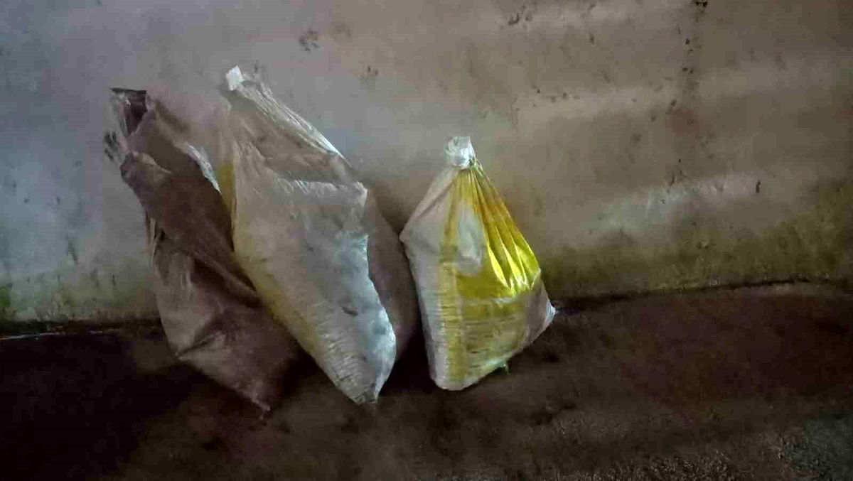 Balıkesir\'de jandarma ekipleri zeytin hırsızlarını suçüstü yakaladı