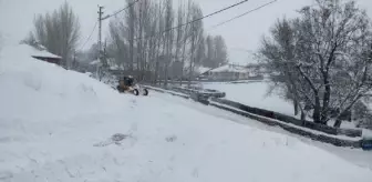 Karlıova'da kar yağışı nedeniyle kapanan köy ve mahalle yolları açıldı