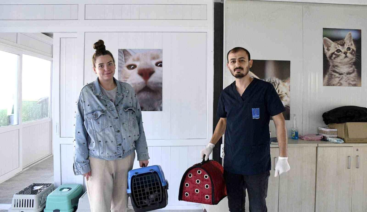 Kuşadası Belediyesi Kedi Kısırlaştırma Merkezi\'nde 518 Kedi Ücretsiz Kısırlaştırıldı