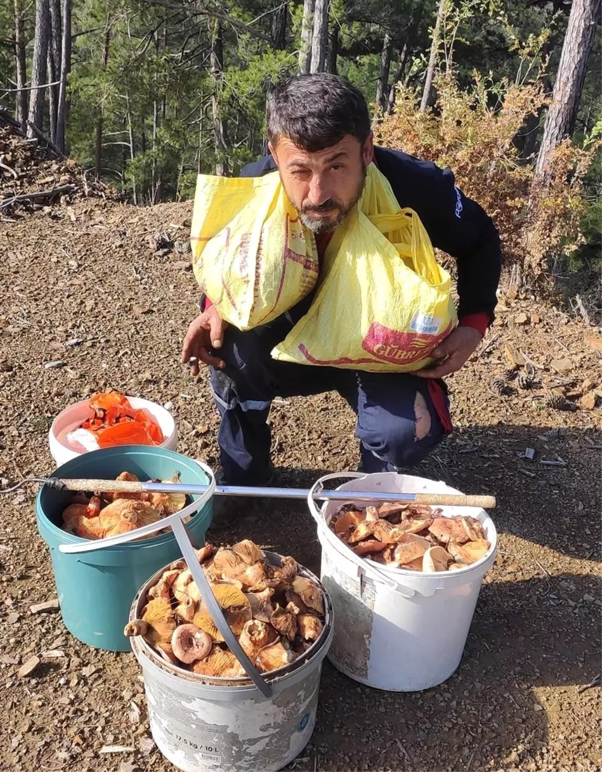 Geçimini mantardan sağlıyor! 4-5 saat çalışmayla günlük 5 bin lira kazanıyor