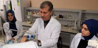 Zencefildeki Kurkumin Maddesi Doğal Antioksidan Olarak Ödüllendirildi