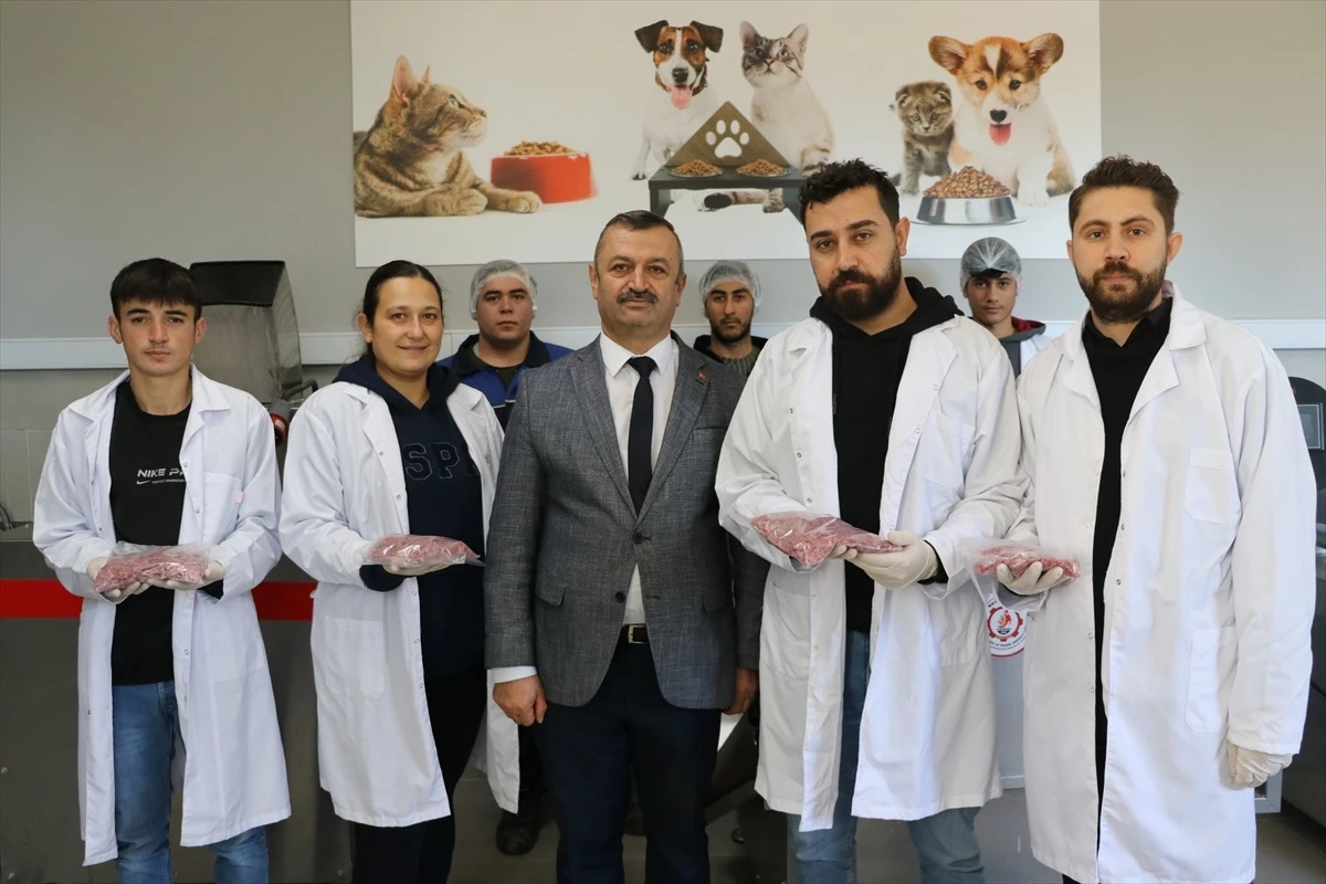 Amasya\'da meslek lisesi öğrencileri, yiyeceklerden kedi ve köpek maması üretiyor