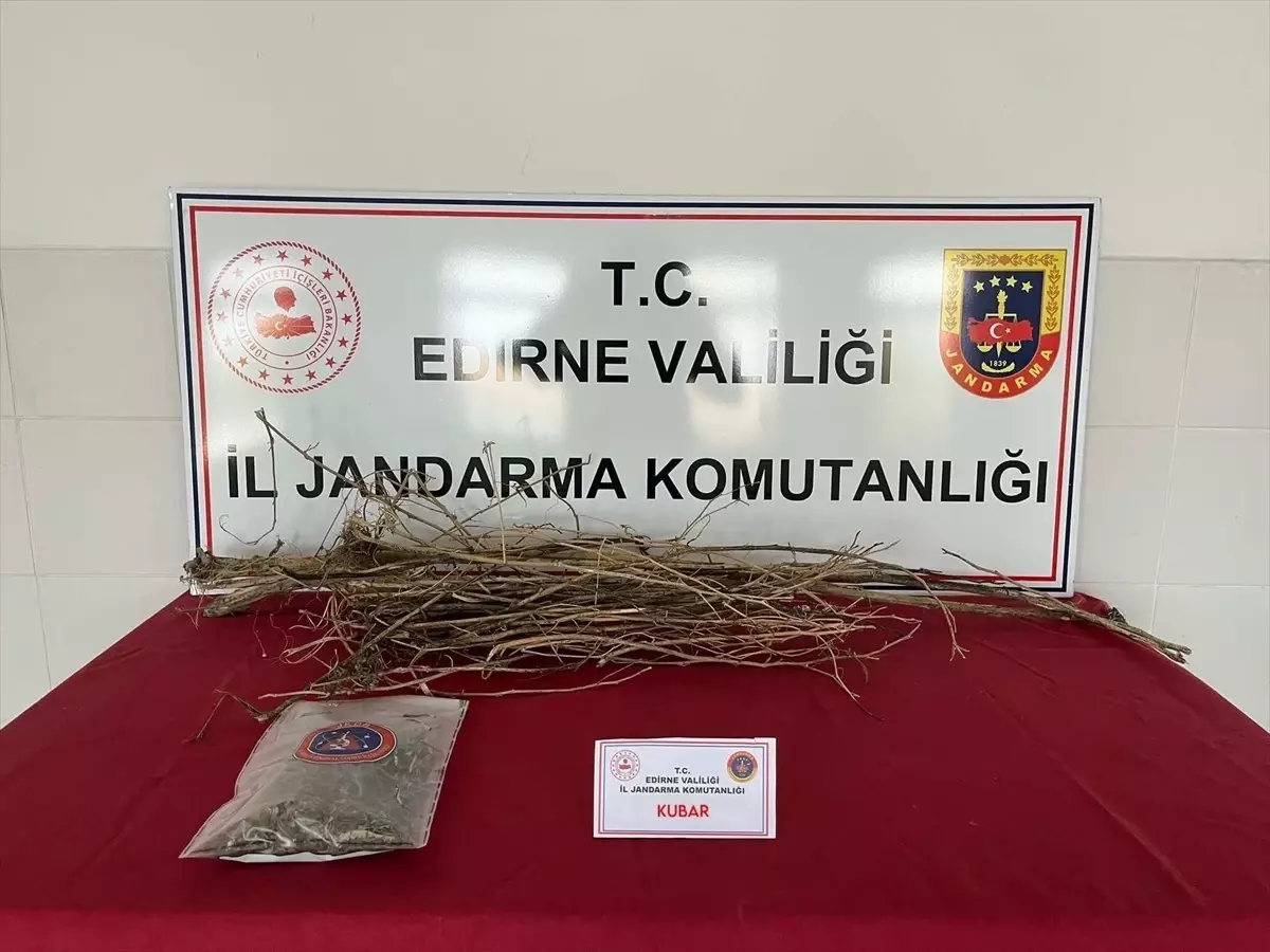 İpsala ilçesinde evlerinde uyuşturucu ele geçirilen 2 şüpheli gözaltına alındı