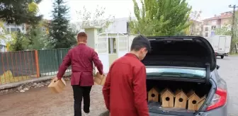 Şırnak'ta öğrenciler atık malzemelerden kedi ve kuşlar için yuva yapıyor